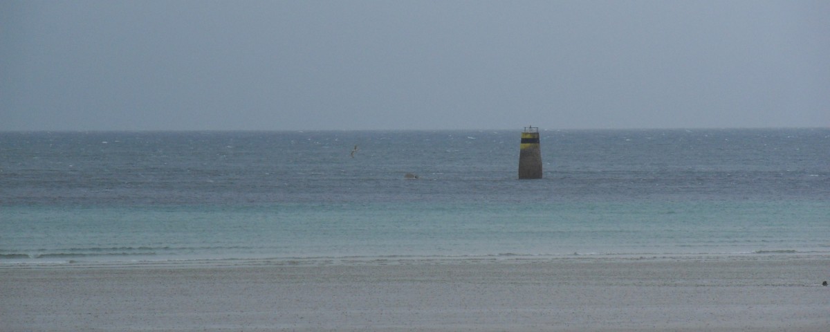 SAMSUNG DIGITAL CAMERA