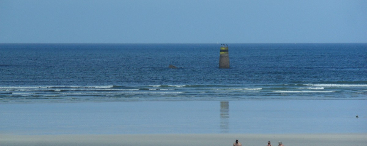 SAMSUNG DIGITAL CAMERA