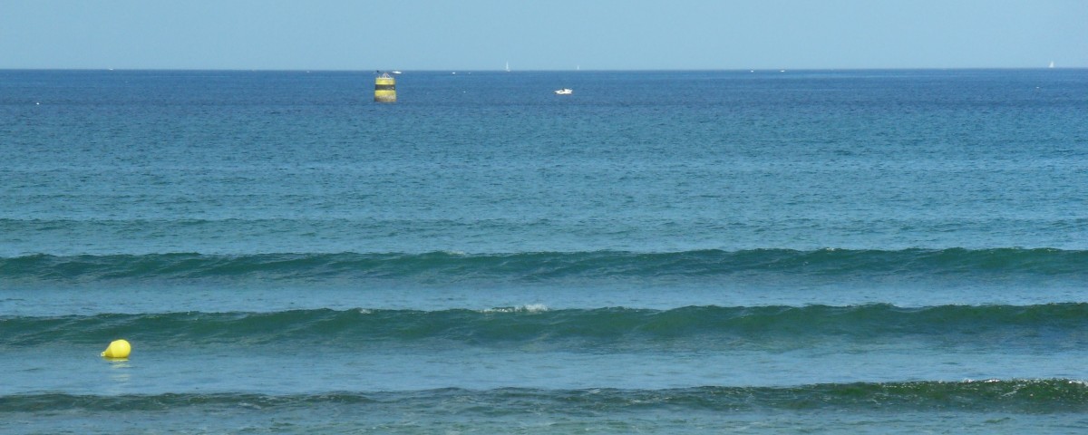 SAMSUNG DIGITAL CAMERA